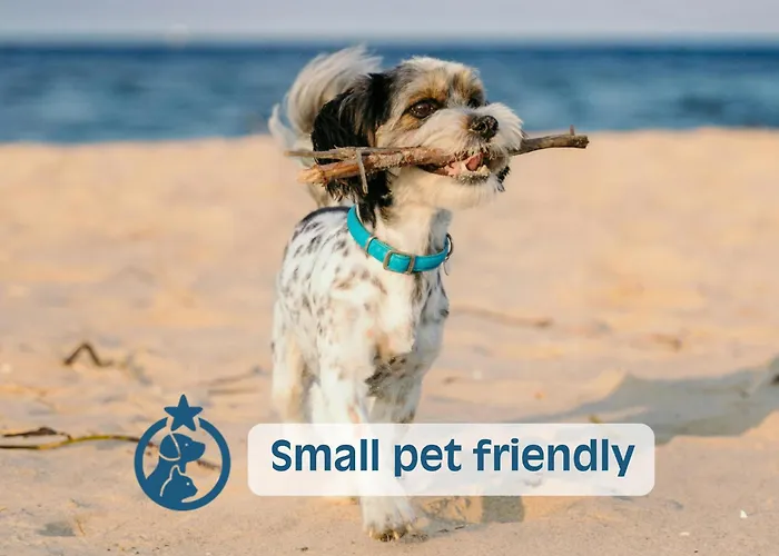 Milano Линьяно-Саббьядоро